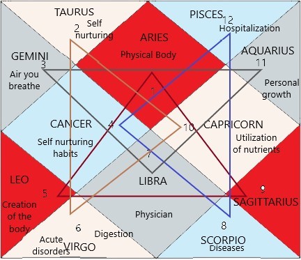 THE HOUSES OF HEALTH