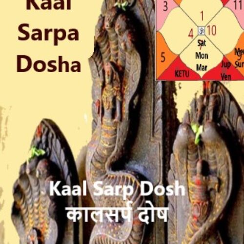 Kaal Sarpa  / कालसर्प