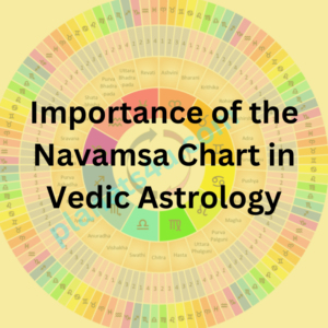 Why is the Navamsa so important?